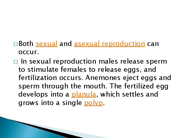 � Both sexual and asexual reproduction can occur. � In sexual reproduction males release