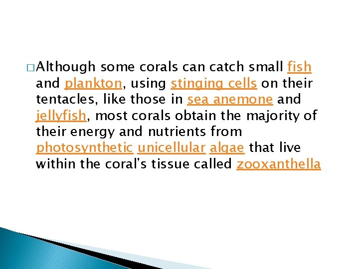 � Although some corals can catch small fish and plankton, using stinging cells on