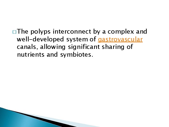 � The polyps interconnect by a complex and well-developed system of gastrovascular canals, allowing