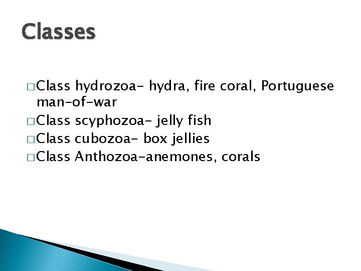 Classes � Class hydrozoa- hydra, fire coral, Portuguese man-of-war � Class scyphozoa- jelly fish