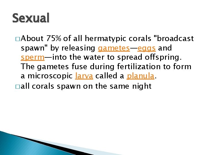 Sexual � About 75% of all hermatypic corals "broadcast spawn" by releasing gametes—eggs and