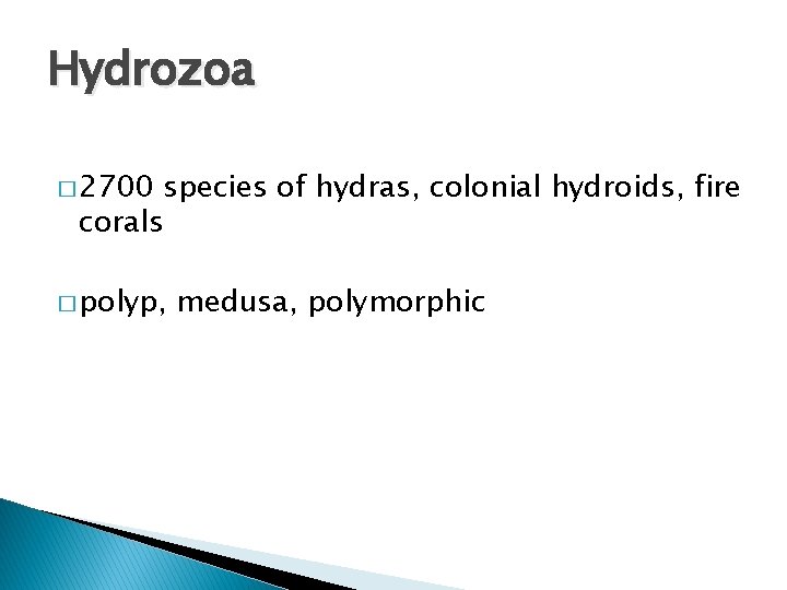 Hydrozoa � 2700 species of hydras, colonial hydroids, fire corals � polyp, medusa, polymorphic