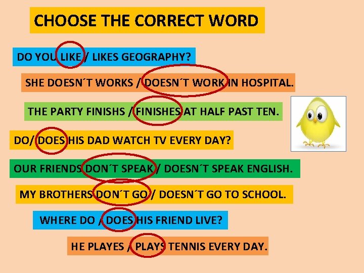 CHOOSE THE CORRECT WORD DO YOU LIKE / LIKES GEOGRAPHY? SHE DOESN´T WORKS /