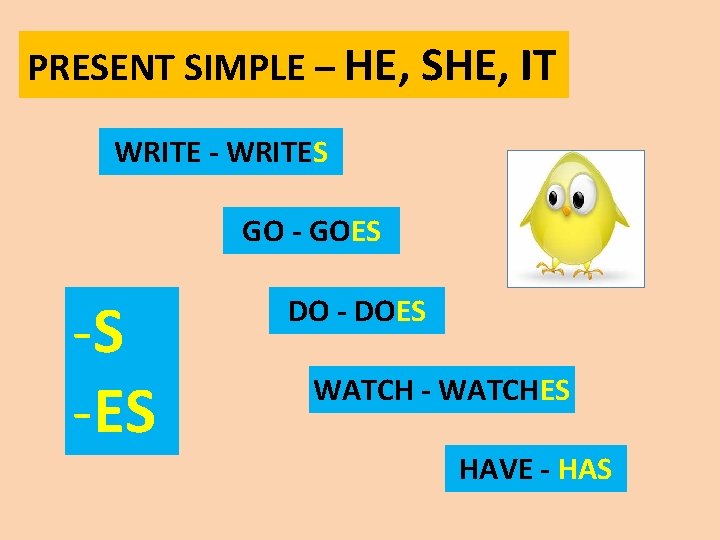 PRESENT SIMPLE – HE, SHE, IT WRITE - WRITES GO - GOES -S -ES
