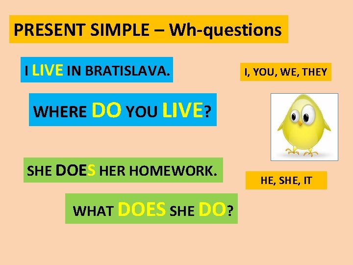 PRESENT SIMPLE – Wh-questions I LIVE IN BRATISLAVA. I, YOU, WE, THEY WHERE DO