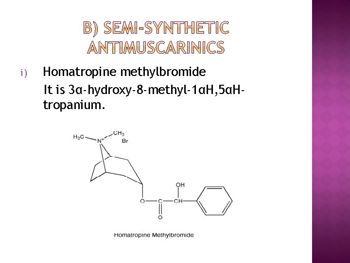 i) Homatropine methylbromide It is 3α-hydroxy-8 -methyl-1αH, 5αHtropanium. 