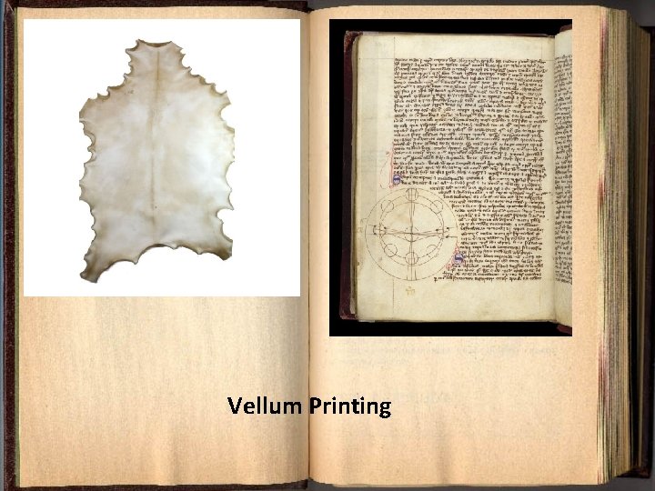 Vellum Printing 