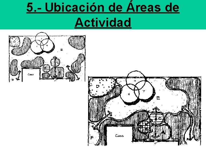 5. - Ubicación de Áreas de Actividad 