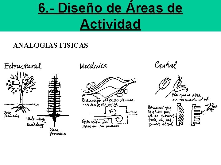 6. - Diseño de Áreas de Actividad ANALOGIAS FISICAS 