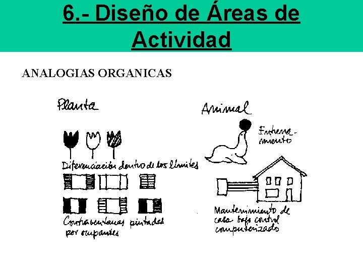6. - Diseño de Áreas de Actividad ANALOGIAS ORGANICAS 
