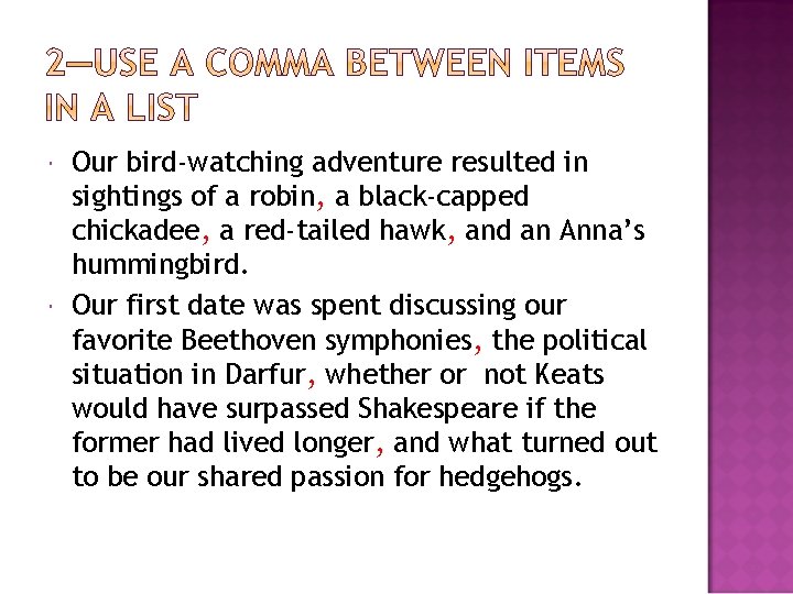  Our bird-watching adventure resulted in sightings of a robin, a black-capped chickadee, a