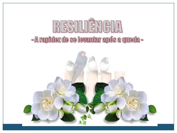 RESILIÊNCIA - A rapidez de se levantar após a queda - 