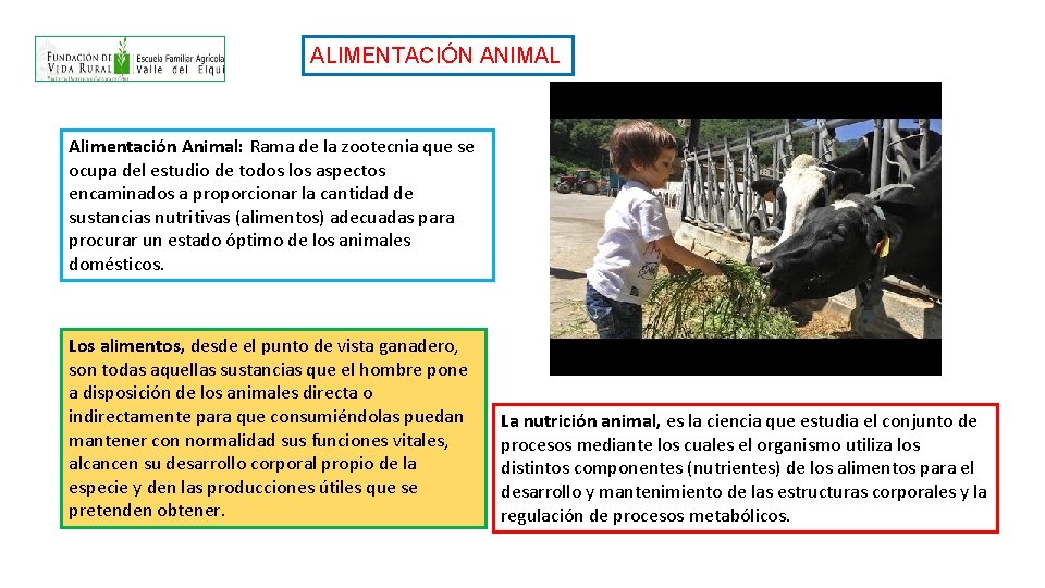 ALIMENTACIÓN ANIMAL Alimentación Animal: Rama de la zootecnia que se ocupa del estudio de