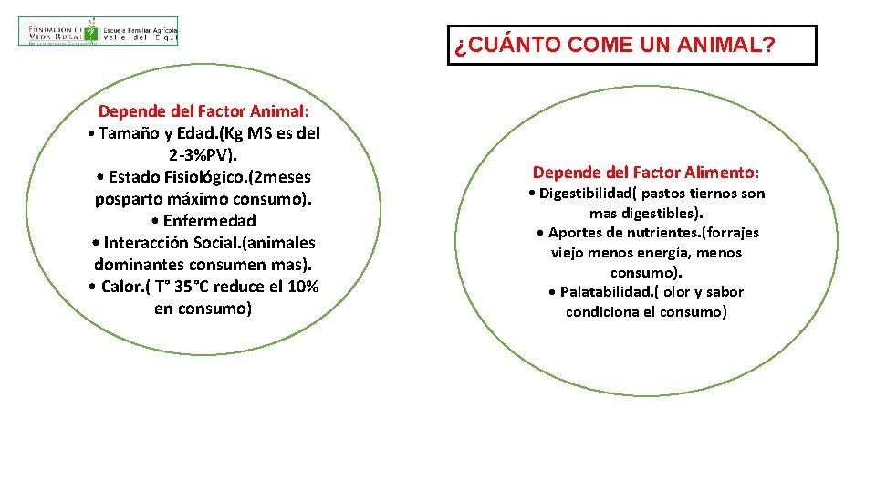 ¿CUÁNTO COME UN ANIMAL? Depende del Factor Animal: • Tamaño y Edad. (Kg MS