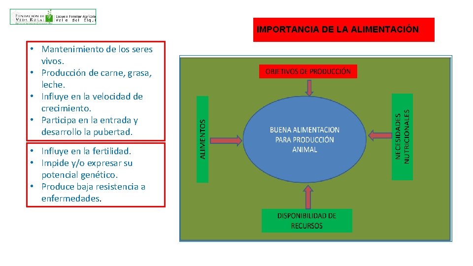 IMPORTANCIA DE LA ALIMENTACIÓN • Mantenimiento de los seres vivos. • Producción de carne,