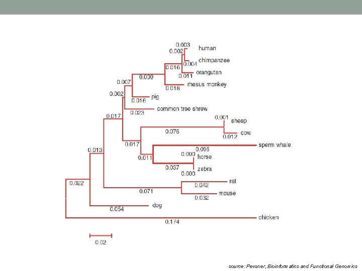 source: Pevsner, Bioinformatics and Functional Genomics 