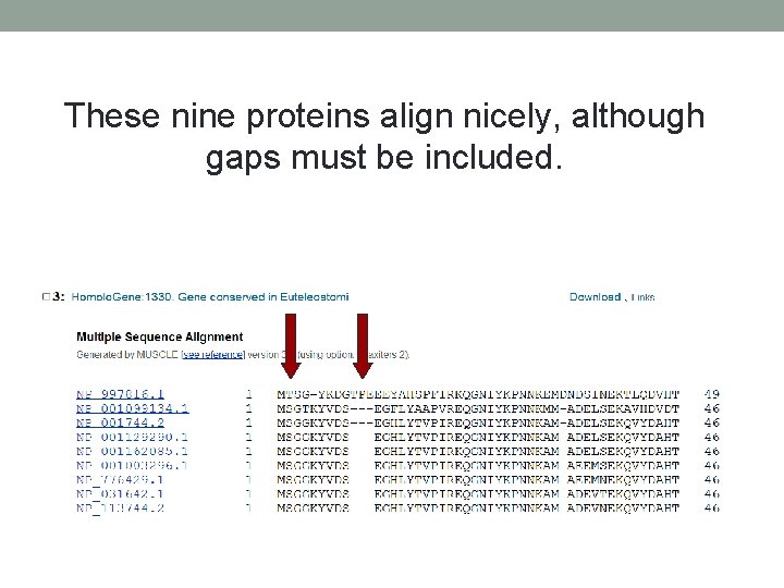 These nine proteins align nicely, although gaps must be included. 