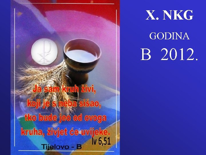 X. NKG GODINA B 2012. 