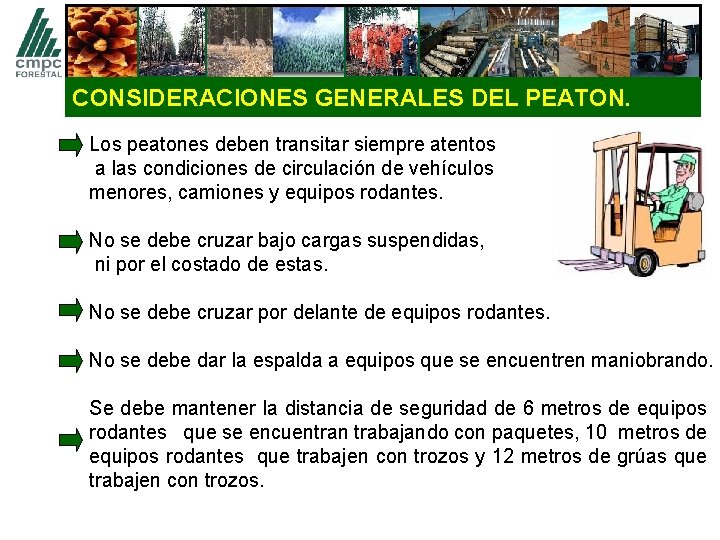 CONSIDERACIONES GENERALES DEL PEATON. Los peatones deben transitar siempre atentos a las condiciones de