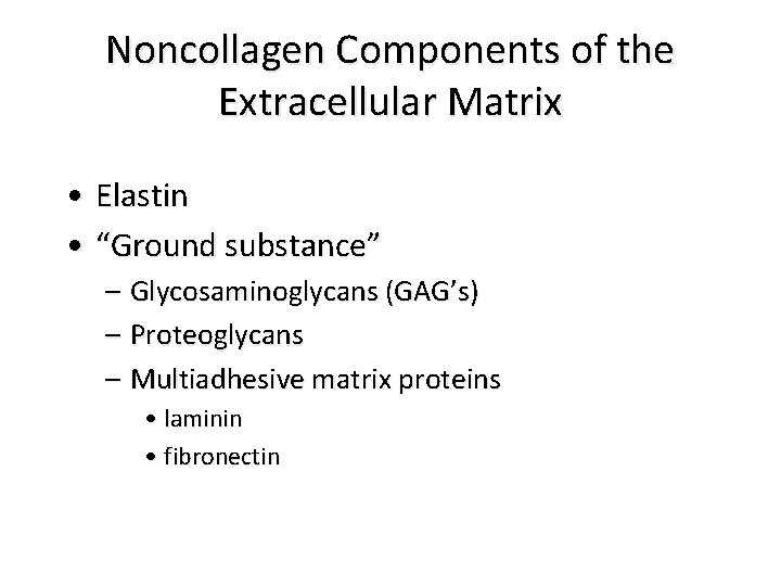 Noncollagen Components of the Extracellular Matrix • Elastin • “Ground substance” – Glycosaminoglycans (GAG’s)