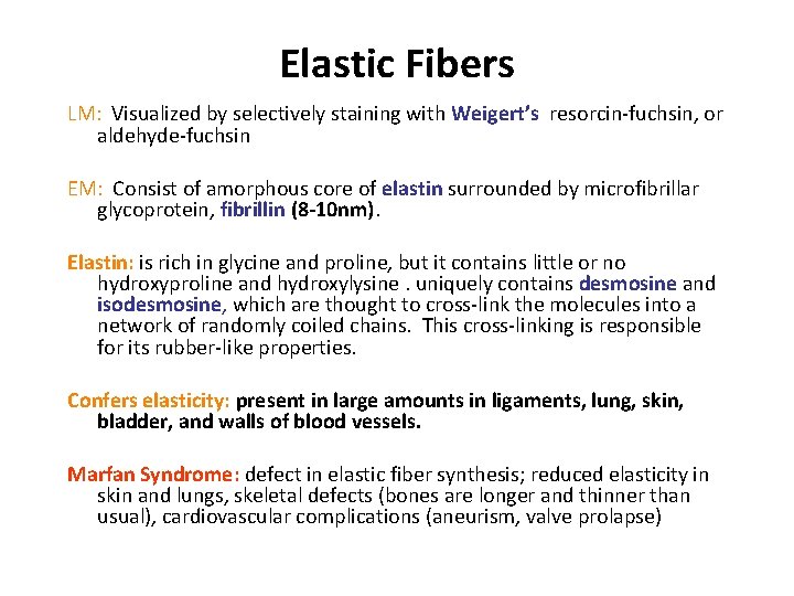 Elastic Fibers LM: Visualized by selectively staining with Weigert’s, resorcin-fuchsin, or aldehyde-fuchsin EM: Consist