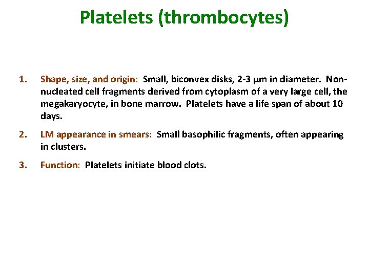 Platelets (thrombocytes) 1. Shape, size, and origin: Small, biconvex disks, 2 -3 µm in