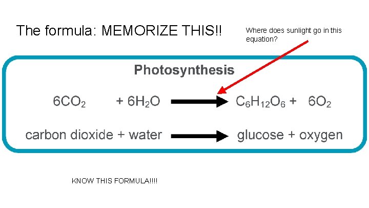 The formula: MEMORIZE THIS!! KNOW THIS FORMULA!!!! Where does sunlight go in this equation?