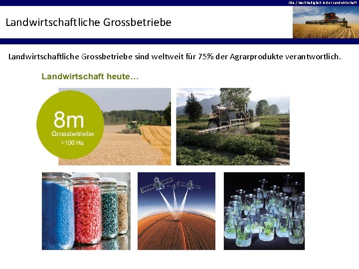 05 a / Nachhaltigkeit in der Landwirtschaftliche Grossbetriebe sind weltweit für 75% der Agrarprodukte