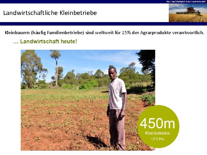 05 a / Nachhaltigkeit in der Landwirtschaftliche Kleinbetriebe Kleinbauern (häufig Familienbetriebe) sind weltweit für