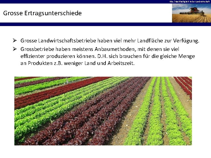 05 a / Nachhaltigkeit in der Landwirtschaft Grosse Ertragsunterschiede Ø Grosse Landwirtschaftsbetriebe haben viel