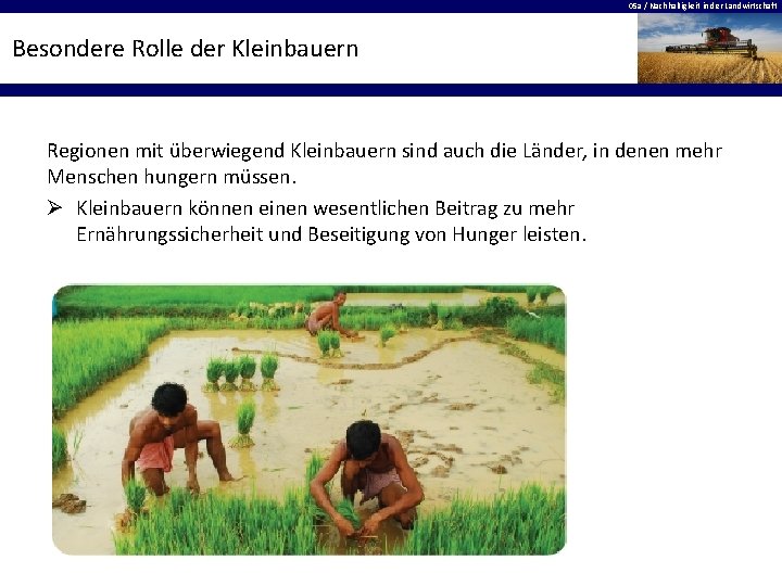 05 a / Nachhaltigkeit in der Landwirtschaft Besondere Rolle der Kleinbauern Regionen mit überwiegend