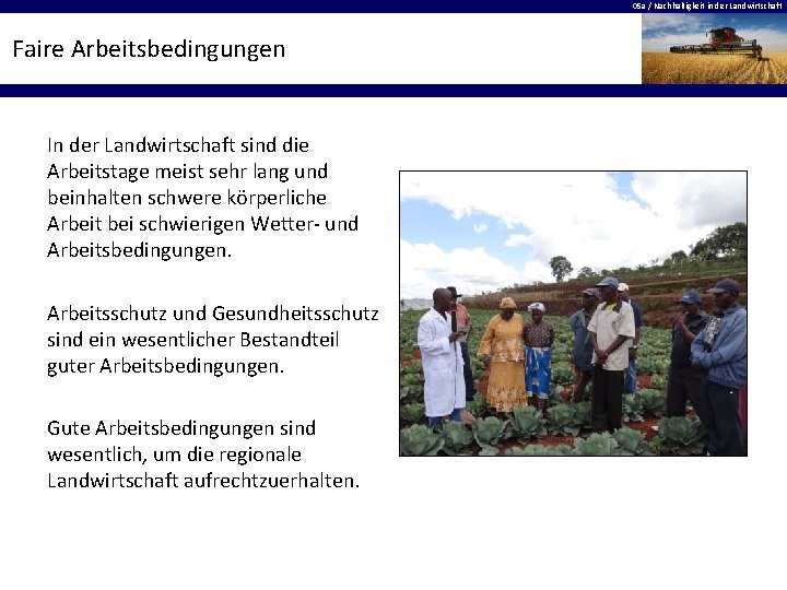 05 a / Nachhaltigkeit in der Landwirtschaft Faire Arbeitsbedingungen In der Landwirtschaft sind die