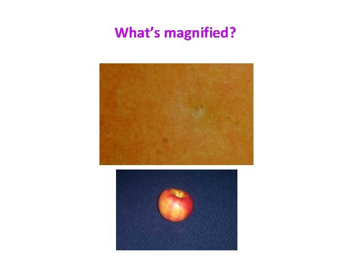 What’s magnified? 