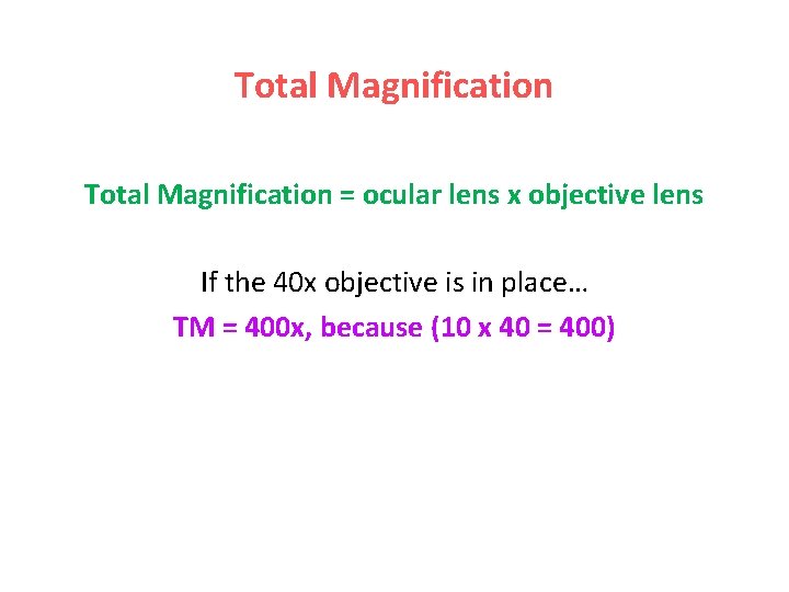 Total Magnification = ocular lens x objective lens If the 40 x objective is Total Magnification = ocular lens x objective lens If the 40 x objective is