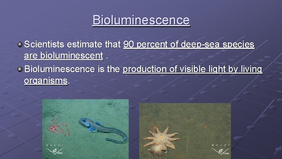 Bioluminescence Scientists estimate that 90 percent of deep-sea species are bioluminescent. Bioluminescence is the