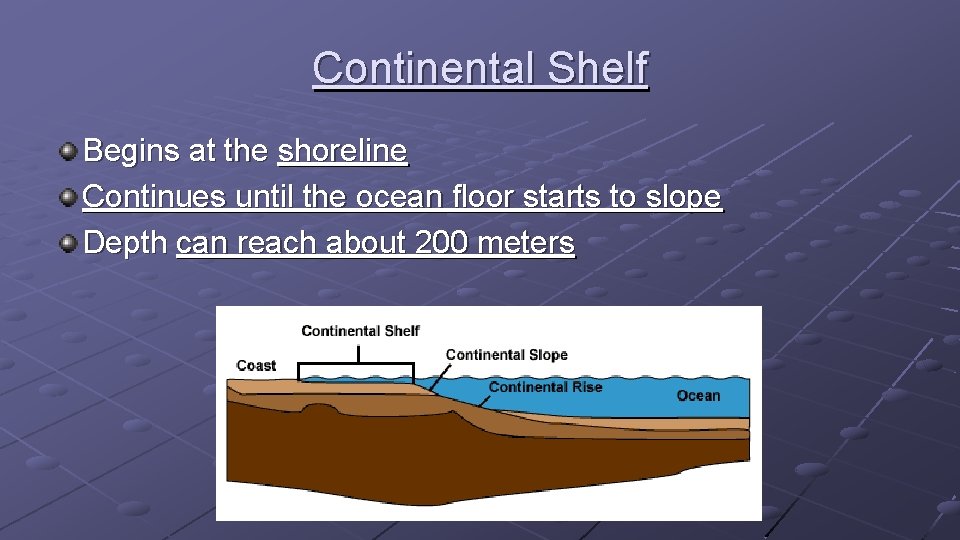 Continental Shelf Begins at the shoreline Continues until the ocean floor starts to slope