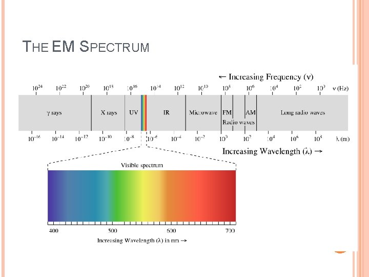 THE EM SPECTRUM THE EM SPECTRUM