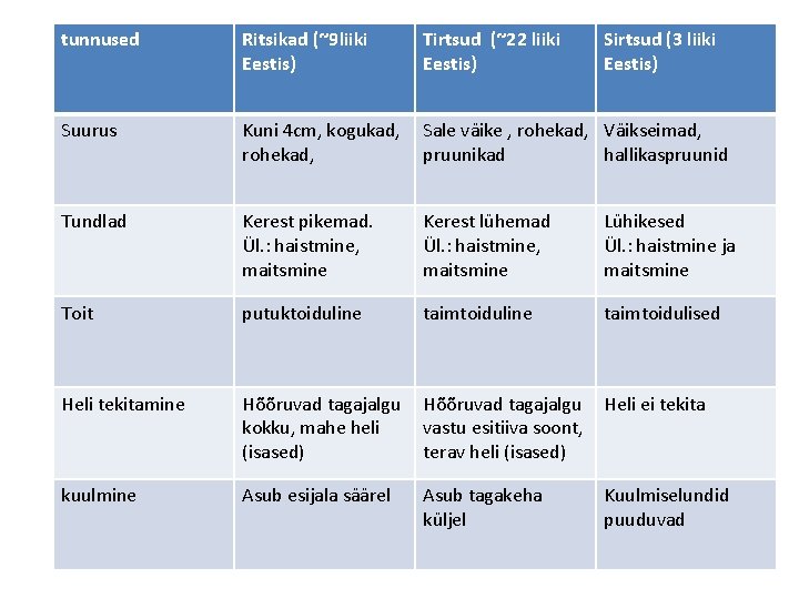 tunnused Ritsikad (~9 liiki Eestis) Tirtsud (~22 liiki Eestis) Sirtsud (3 liiki Eestis) Suurus