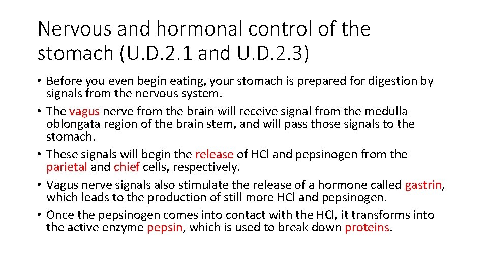 Nervous and hormonal control of the stomach (U. D. 2. 1 and U. D.