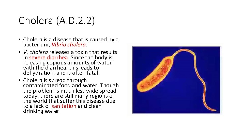Cholera (A. D. 2. 2) • Cholera is a disease that is caused by