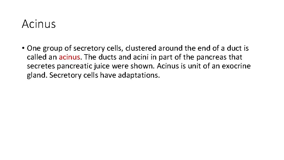 Acinus • One group of secretory cells, clustered around the end of a duct