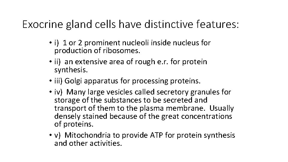 Exocrine gland cells have distinctive features: • i) 1 or 2 prominent nucleoli inside