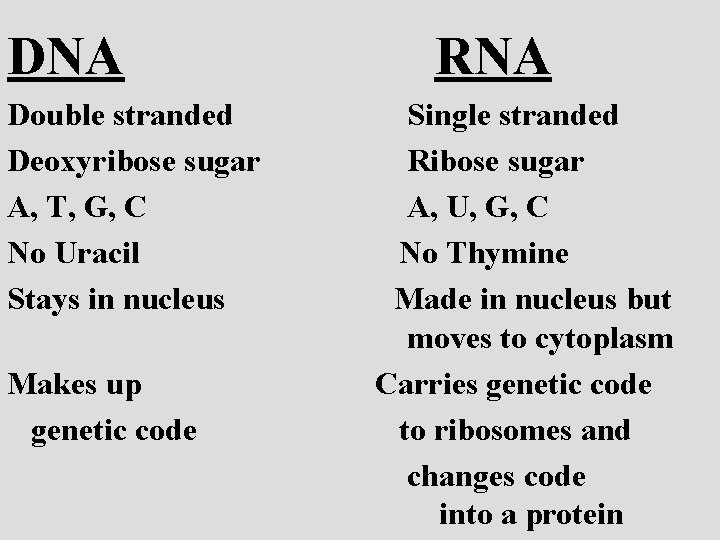 DNA Double stranded Deoxyribose sugar A, T, G, C No Uracil Stays in nucleus