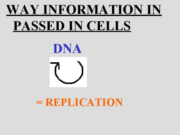 WAY INFORMATION IN PASSED IN CELLS DNA = REPLICATION 