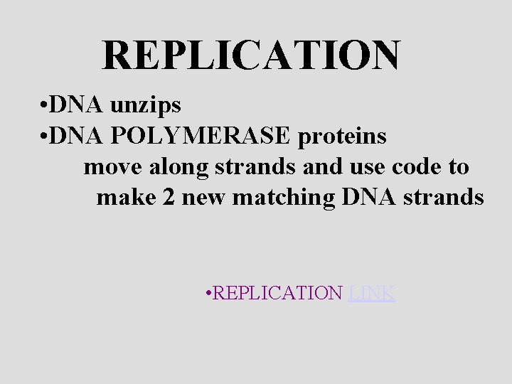 REPLICATION • DNA unzips • DNA POLYMERASE proteins move along strands and use code