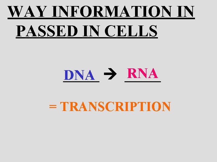 WAY INFORMATION IN PASSED IN CELLS RNA _____ DNA _____ = TRANSCRIPTION 