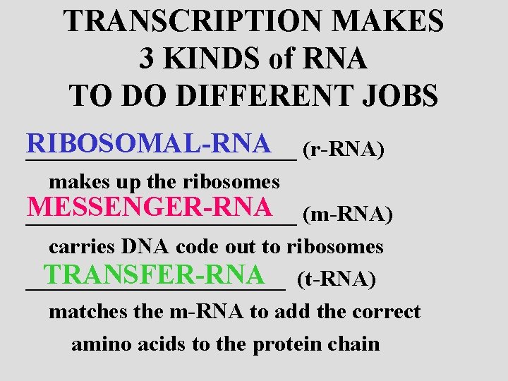 TRANSCRIPTION MAKES 3 KINDS of RNA TO DO DIFFERENT JOBS RIBOSOMAL-RNA ____________ (r-RNA) makes