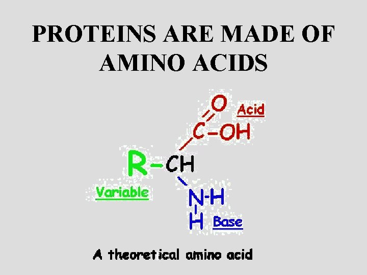 PROTEINS ARE MADE OF AMINO ACIDS 