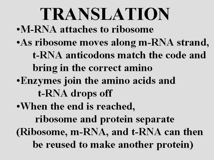 TRANSLATION • M-RNA attaches to ribosome • As ribosome moves along m-RNA strand, t-RNA