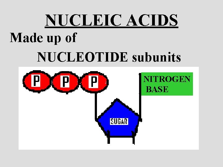 NUCLEIC ACIDS Made up of NUCLEOTIDE subunits NITROGEN BASE 